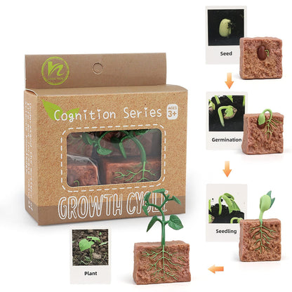 MIKNEKE Montessori Life Cycle Animal Figures with Flash Cards, Realistic Animal Figurines Toy, Educational Matching Game for 3+ Year Old Toddlers Kids (Plant)