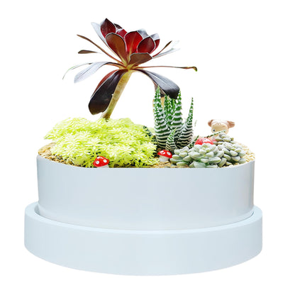 SJBAG Cute Circular Ceramic Home Garden Decoration Succulent Cactus Flower Pots Container with Tray -Plant Not Included (6 Inch White)