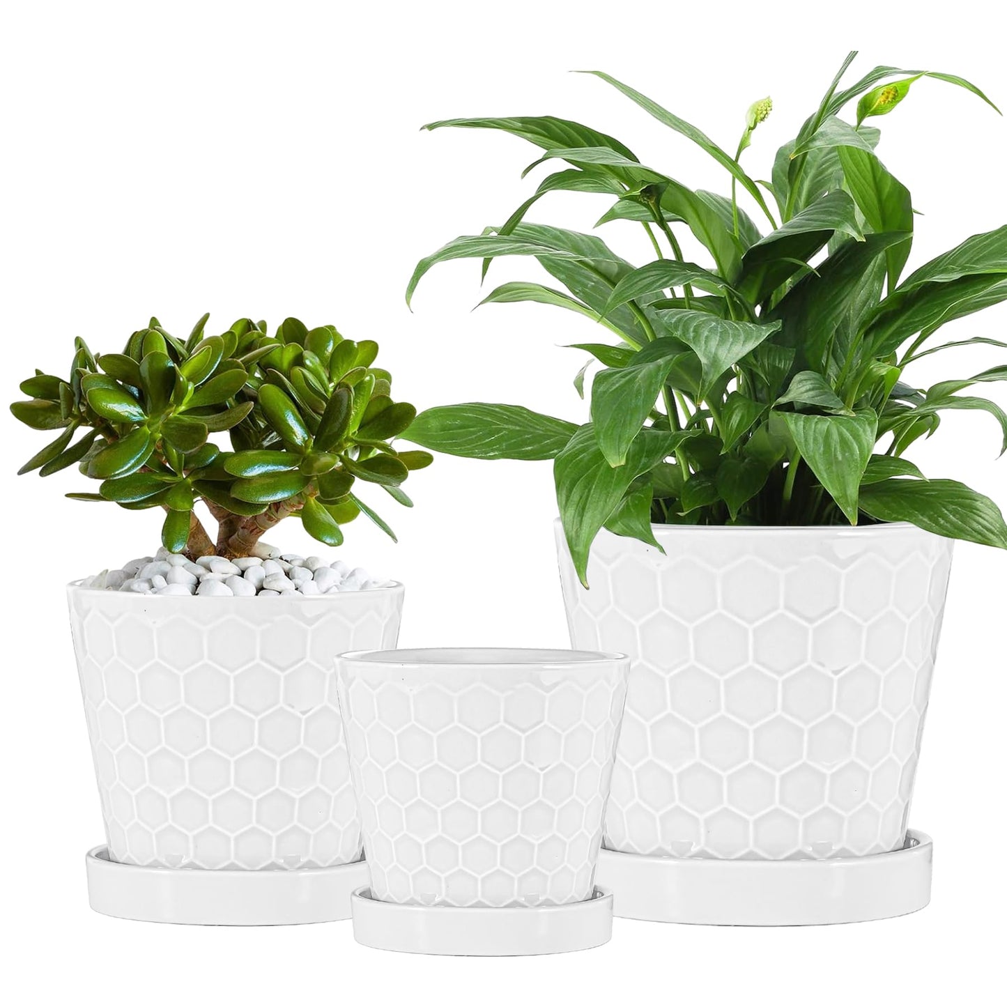 Ceramic Plant Pots,4+5+6 Inch Pots for Indoor Plants,Planters with Drainage Holes and Ceramic Tray, Indoor Flower Pots Gardening Home Desktop Office Windowsill Decoration Gift,Set of 3 (White)