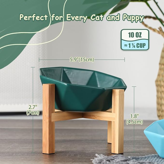 Green with Stand Ceramic Tilted Elevated Raised Pet Bowl with Bamboo Stand for Cats and Dogs No Spill Pet Food Water Feeder
