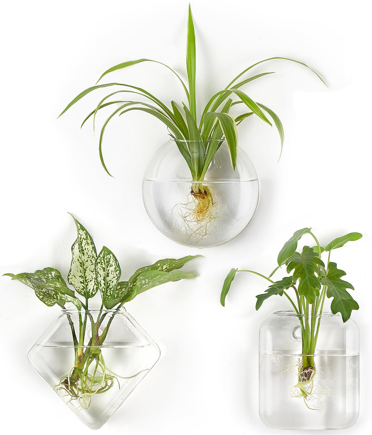 Mkono Wall Planter Propagation Stations Hanging Glass Terrariums Vase Container for Propagating Hydroponic Plants Flowers Home Office Living Room Bathroom Garden Decor, 3 Pack(Plants not Included)