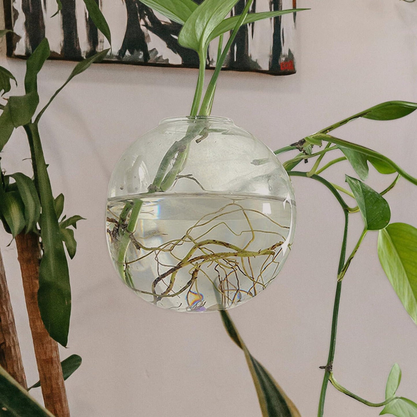 BEBEMOKO Hydroponic Glass Vase Wall Hanging Planter 15cm Terrarium Bottle for Indoor Plant Propagation and Home Décor with Non-Marking Hook