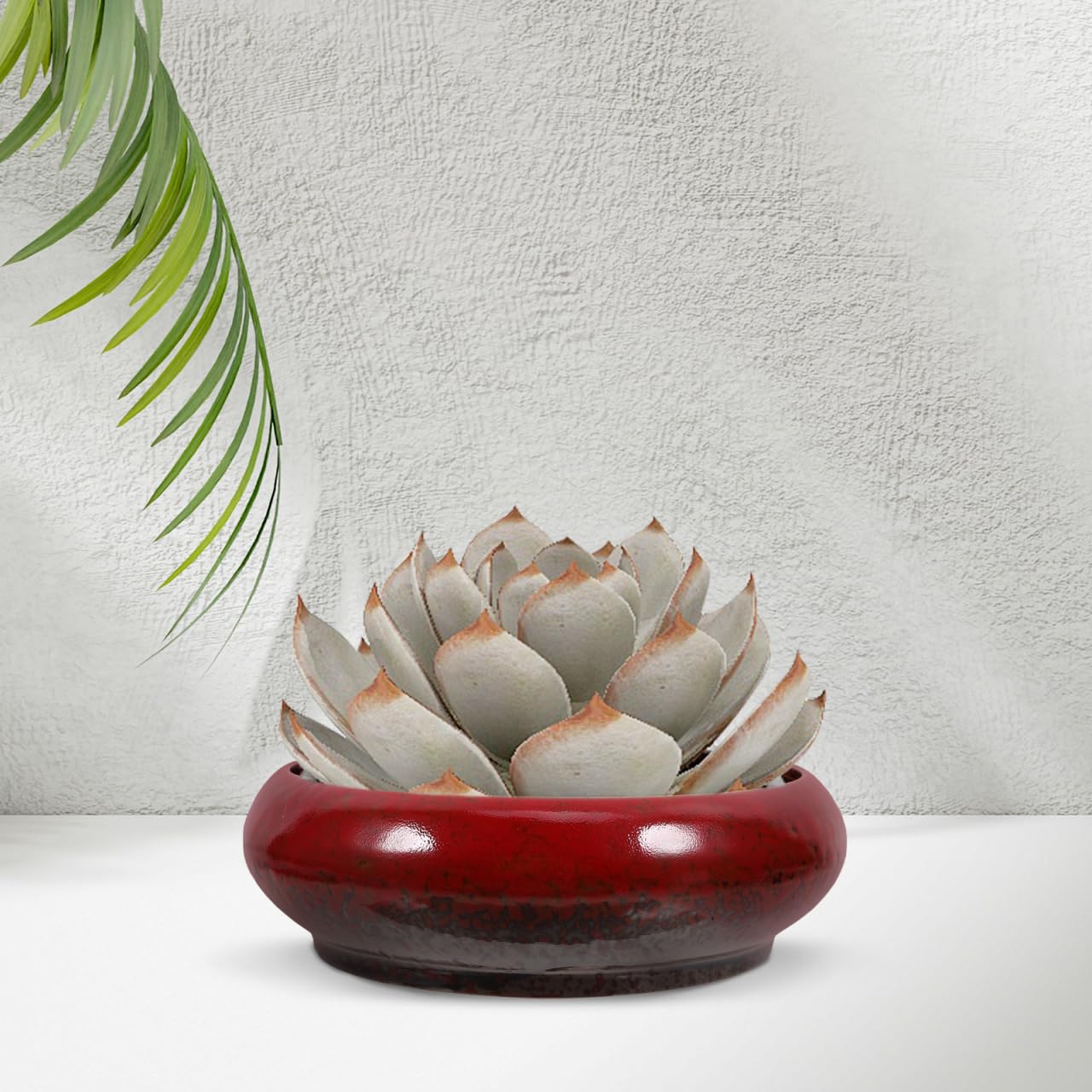 Mipcase Ceramic Water Lily Pot Plant Pot Drainage Clay Bowls for Succulent Plants Random Color