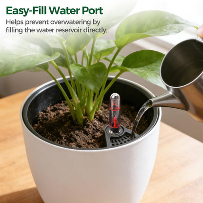 T4U Self Watering Pots for Indoor Plants, 7 Inch Self Watering Planters with Water Level Indicator, Bottom Watering African Violet Pots for Beginners & Busy Plant Owners, BPA-Free (2 Pack, White)
