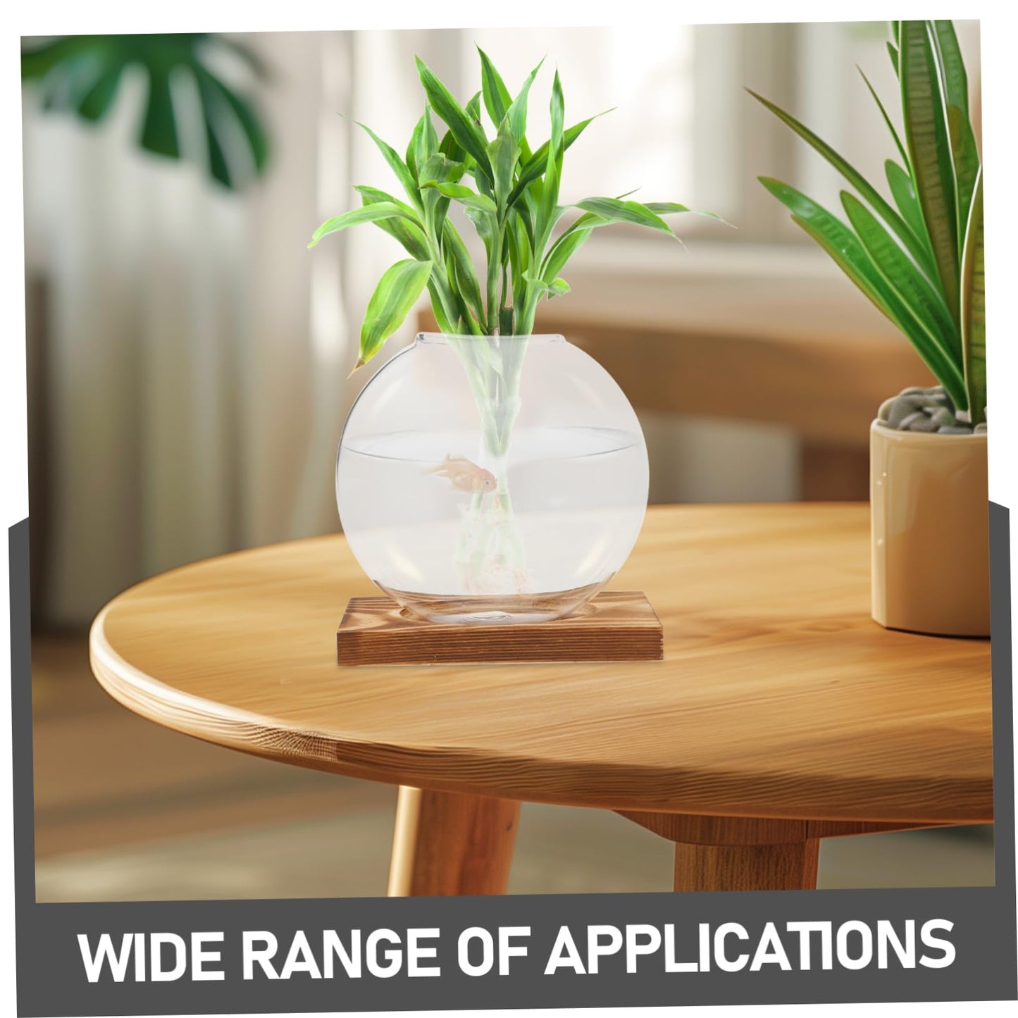 Toyvian Transparent Hydroponic Propagation Vase with Wooden Base Soil Glass Planter for Indoor Plants Terrarium Jar for Root Observation Versatile Decorative Hydroponic Station for Home