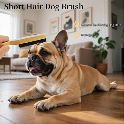 Soft Boar Bristle Dog Brush for Short Haired Dogs - Made of Bamboo, Gentle Deshedding & Grooming Tool, Ideal Dog Hair Brush for Pets, Dog Brushes for Grooming and Shedding （Small）