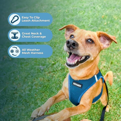 Best Pet Supplies Voyager Step-in Air All Weather Mesh Harness and Reflective Dog 5ft Leash Combo with Neoprene Handle, for Small, Medium and Large Breed Puppies - Turquoise, Medium