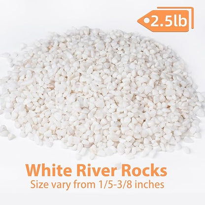 Pulovin 2.5 lbs White Aquarium Gravel, 1/5 Inch White Rocks for Plants, Small Pebbles for Vases, Succulents, Bamboo, Natural Decorative Pebbles for Plants Drainage, Cactus, Crafts