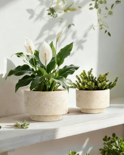 YBX YIBOXUAN Succulent Pots, 8 Inch + 6 Inch Plant Pots for Plants with Drainage Hole, Indoor Outdoor Ceramic Planter, Set of 2 Round Flower Pots for Succulent and Plants, Beige