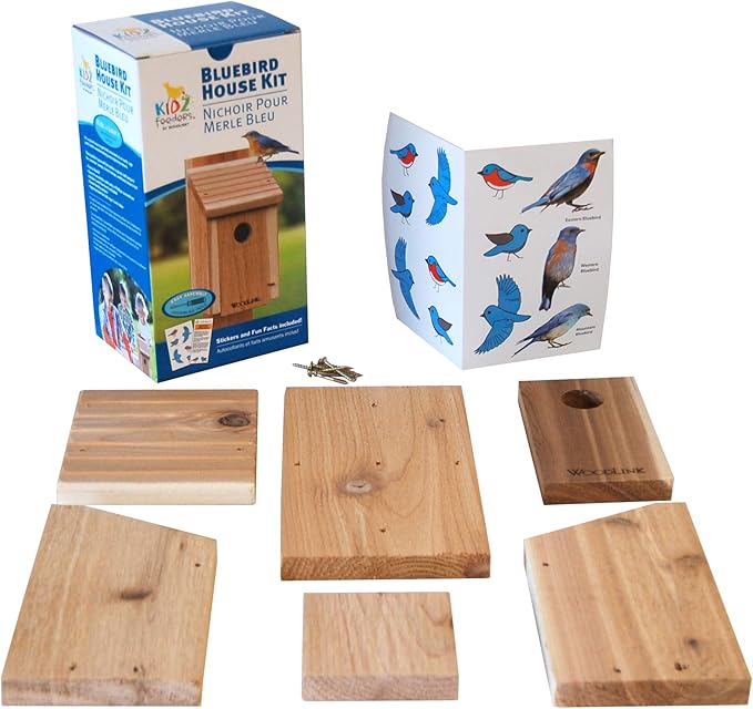 BestNest Club Pack of 6 Woodlink Bluebird House DIY Craft Kits – Precut Wooden Panels & Screws – Easy Assembly Bluebird Nest Boxes for Kids, Scouts, Schools, or Group Crafts – Outdoor Bird Shelter