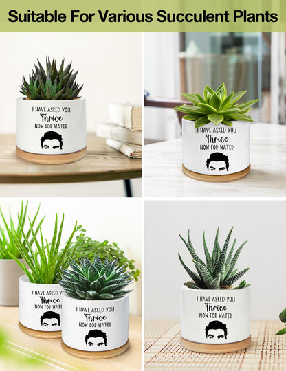 PWHINGN I Have Asked You Thrice Now for Water Ceramic Succulent Planter Pot, Funny Plants Pots Schitts Merchandise Gifts, for Women Mom Grandma Plant Lovers Gifts - 3.5 inch(Plant Not Included)
