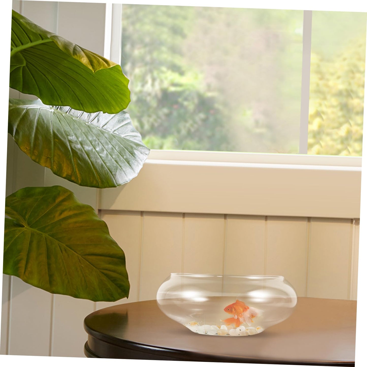 Mikikit Glass Fish Bowl Hydroponic Plant Pot for Cacti Clear Desktop Aquarium Vase for Betta Fish Terrarium Tank for Home Decor Office Use