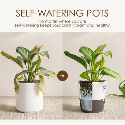 Leaf&lull 2 Pack Self Watering Pots for Indoor 7.5in Plants Plant Pots Indoor with Drainage Holes Modern Planters for Indoor Plants Room Office Décor(White)