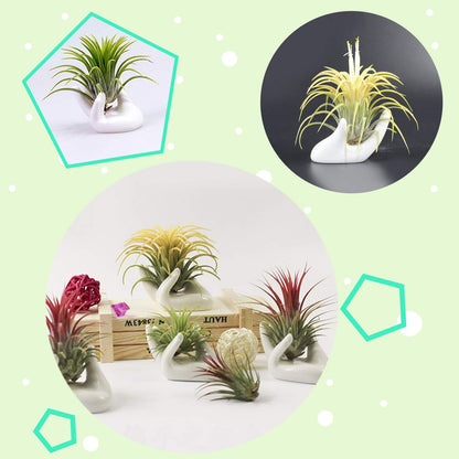 6 Pack Ceramic Air Plant Stand Holder, Hand Shape Tillandsia Airplant Container Pot Tabletop Plant Display Hand Racks for Home Office Decoration Supplies(White)