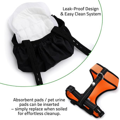 Adjustable Chicken Harness Diaper (5.4ft Leash) – Breathable & Washable Secure Training for Hens, Ducks & Chicks | Outdoor Walking & Discipline Solution