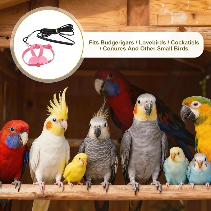 Bird Harness Leash, Adjustable Pet Parrot Bird Harness and Leash Lightweight Anti-Bite Flight Training Rope with Cute Wing, (Pink, XS), Intended for Parrots/Pigeons/Budgies
