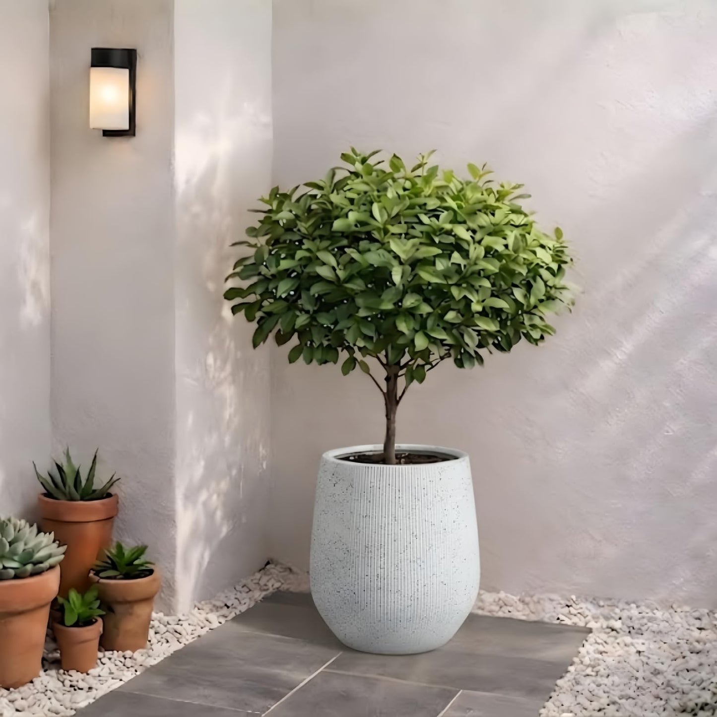 KUTE NEST 12.5" H x 11.5" D Premium Ribbed Corso Fiberstone Round Tapered Planter with Drainage Hole, Weather Resistant, Included 2 Extra Coco Mats (Ribbed Speckled White, 9" Pot Opening)