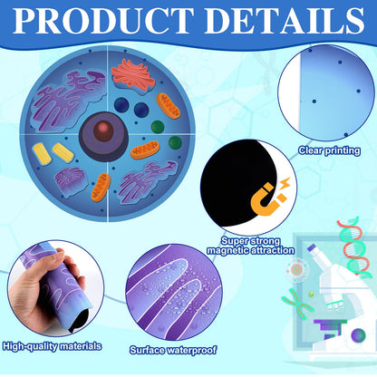 VercanMonth 2 Set Magnetic Animal and Plant Cell Anatomy Model Set Biology Science Learning Kit for Classroom Home School Supplies Stem Educational Teaching Tool