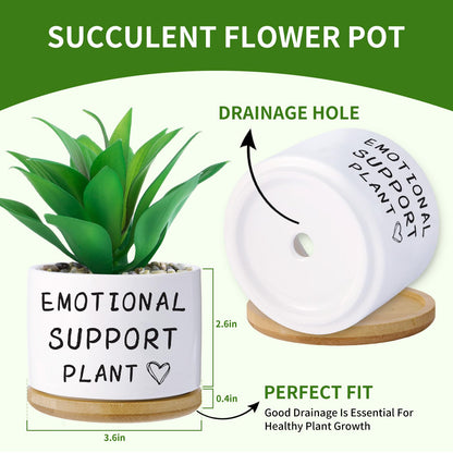 Haooxinwei Funny planters for Indoor Plants, for Planter Lover,Indoor Plants Garden Planters Succulent Pots, with Drainage Holes and Saucer(No Plants) (Emotional Support Plant)