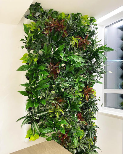 BOXSAND-6 Vertical Wall Planter (12"x26", Black with Square Pots) – Living Wall for 6 Plants, Indoor/Outdoor Vertical Garden System, Easy 2-Screw Install