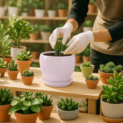 Deep Dream 6 Inch Plant Pots- Ceramic Planter Pot with Drainage Hole and Saucer, Round Flower Pot for Indoor Outdoor Succulent, Snake Plants and Cactus, Pink
