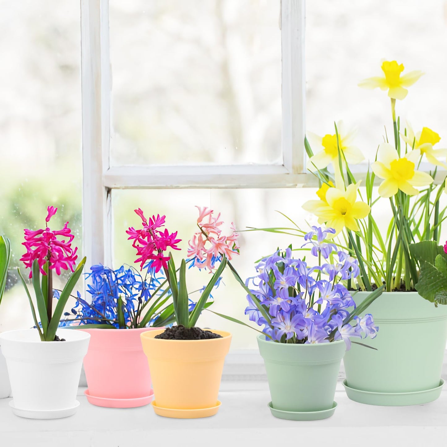 GARDIFE 20 Pack 4 inch Plant pots, planters for Indoor Plants, Flower pots, Color