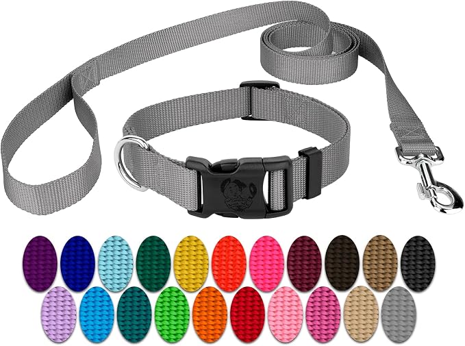 Country Brook Petz - Everyday Nylon Dog Collar and Leash - 10+ Cool Colors (3/8 Inch, 3XS, Silver)
