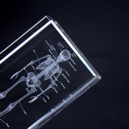 3D Human Skeleton Crystal Model Skeletal Anatomical Model for Home and Office Decoration, Unique Gift for Doctors and Students