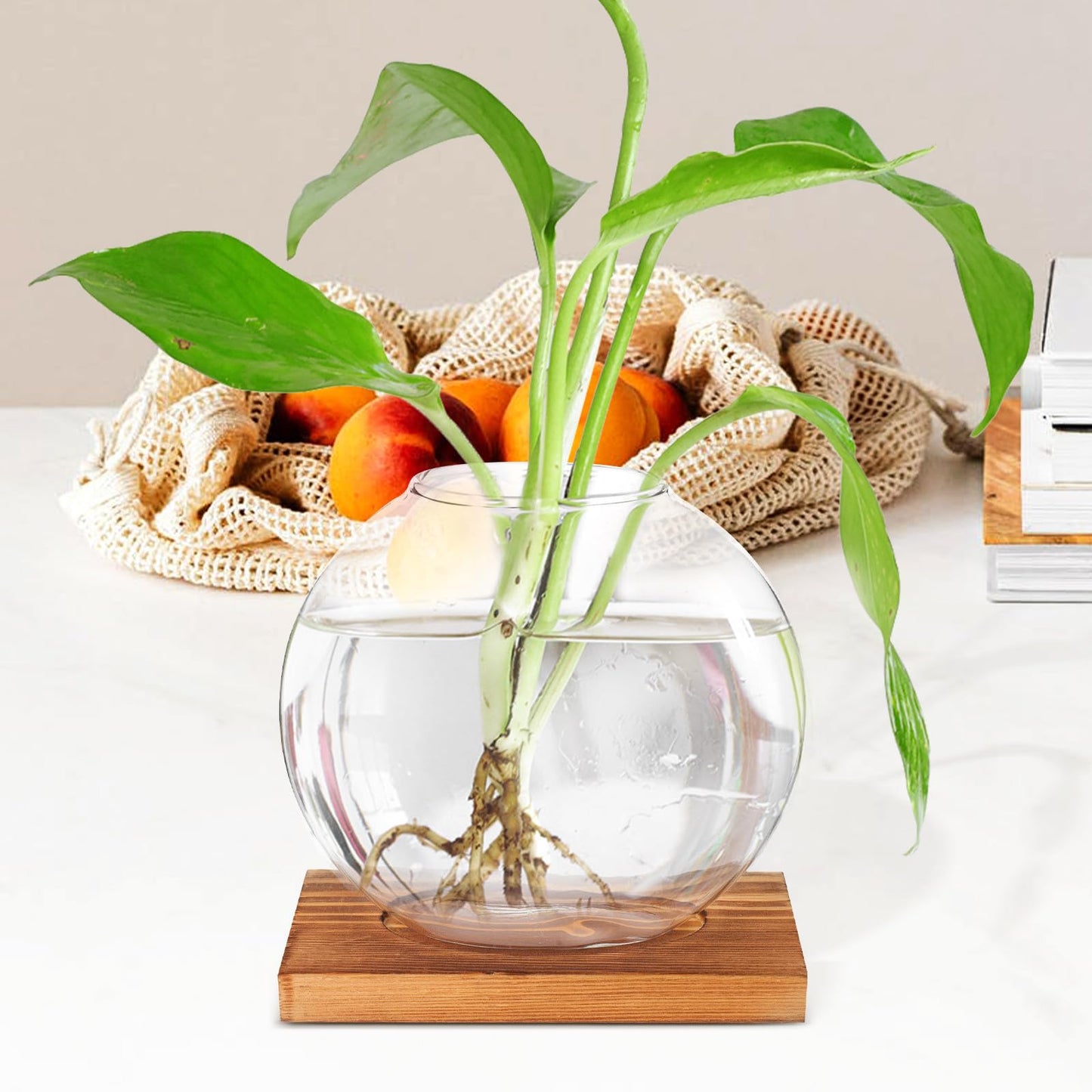 TOKIDNY Glass Plant Vase with Retro Wooden Base for Hydroponic Green Vine Propagation, Home and Office Decorative Flower Bottle Terrarium, Desktop Hydroponic Planter for Living Room