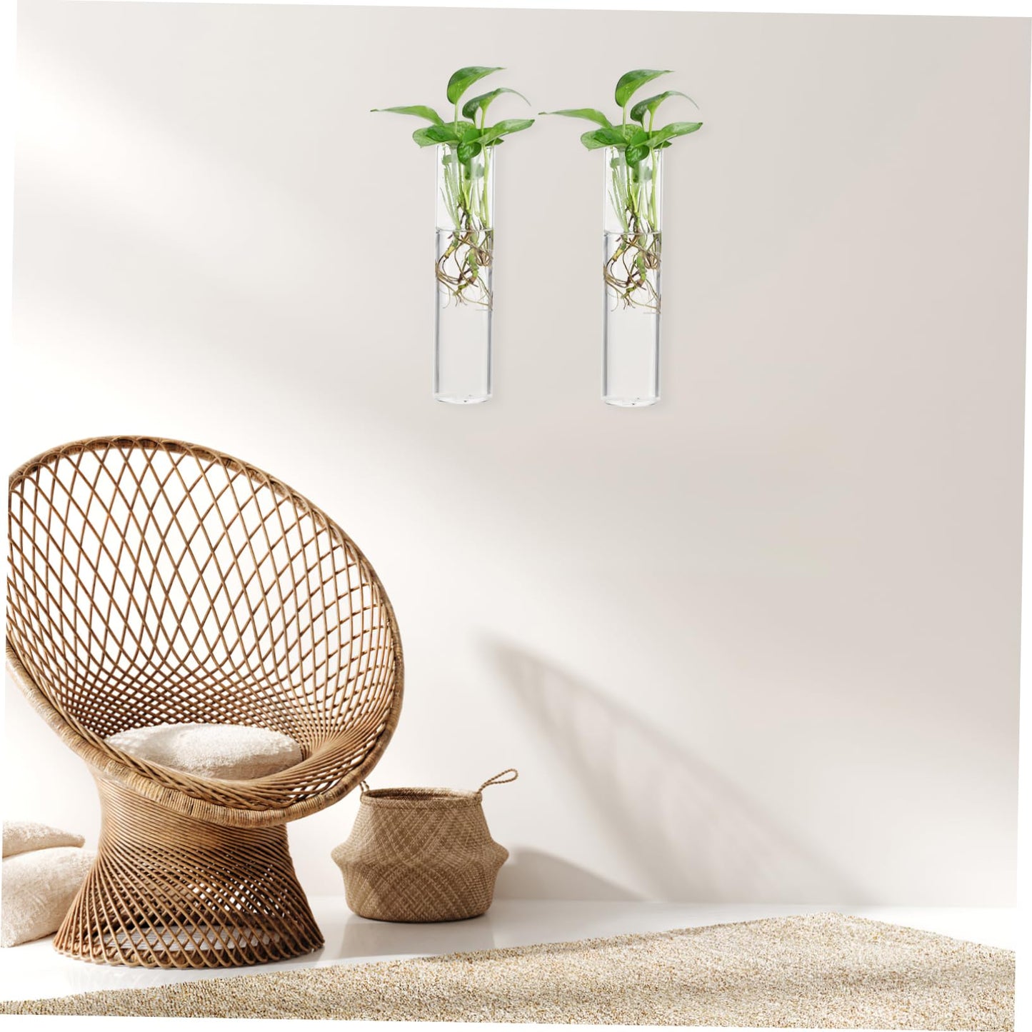 Cabilock 2pcs Cylinder Glass Wall Vase Clear Hanging Planters for Wall Propagation Stations Sleek Transparent Hydroponic Plant Terrariums for Home Decor