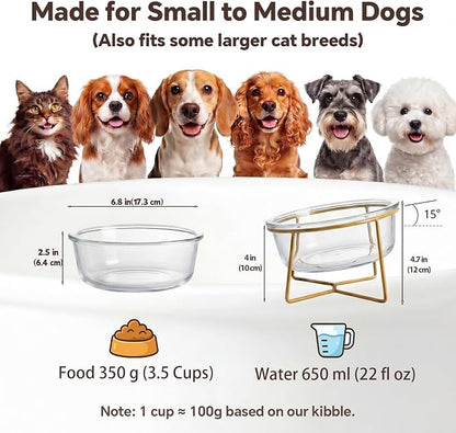 Large Glass Tilted Elevated Cat Dog Bowl Raised Cat Food Water Bowl Dish Pet Comfort Feeding Bowls with Gold Iron Stand