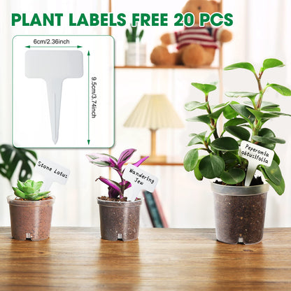 Rsipelsk 30 Pcs 3.5 Inch Clear Nursery Pots for Plants, Transparent Plastic Plant Pots with Drain Holes, Seed Starter Pots with 20 Plant Labels for Flowers Vegetable Seedlings