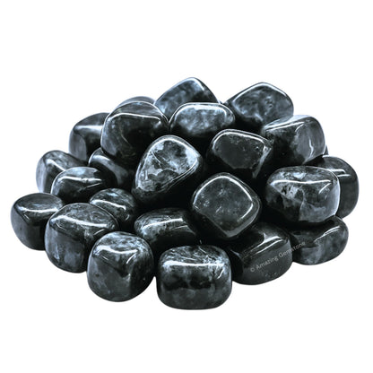 Amazing Gemstone Larvikite Crystals&Healing Stones Tumbled - 1 oz Larvikite Stone Gem Stones, Healing Stones for Energy Balance, Stress Relief - Premium Polished Gems Rocks for Meditation&Wellness