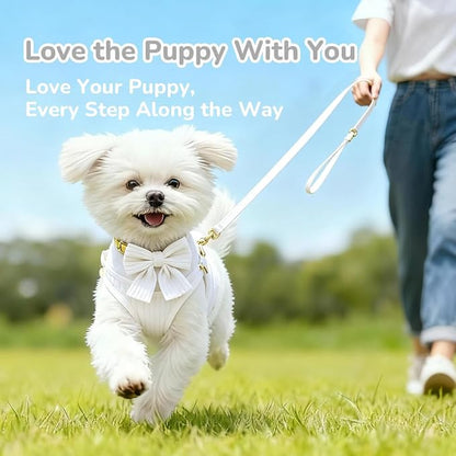 Small Dog Collar Harness and Leash Set with Bowtie, Adjustable Dog Harness Collar and Leash Set with Secure Metal Buckle, Breathable Cotton Adjustable Pet Puppy Harness, Easy Walk Harness, S(14–18.9")