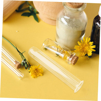 HEALEEP Glass Test Tubes for Plant Propagation 5pcs 2.5x3x15cm Hydroponic Floral Vase Glass Tubes for Small Terrarium Plants and Home Décor