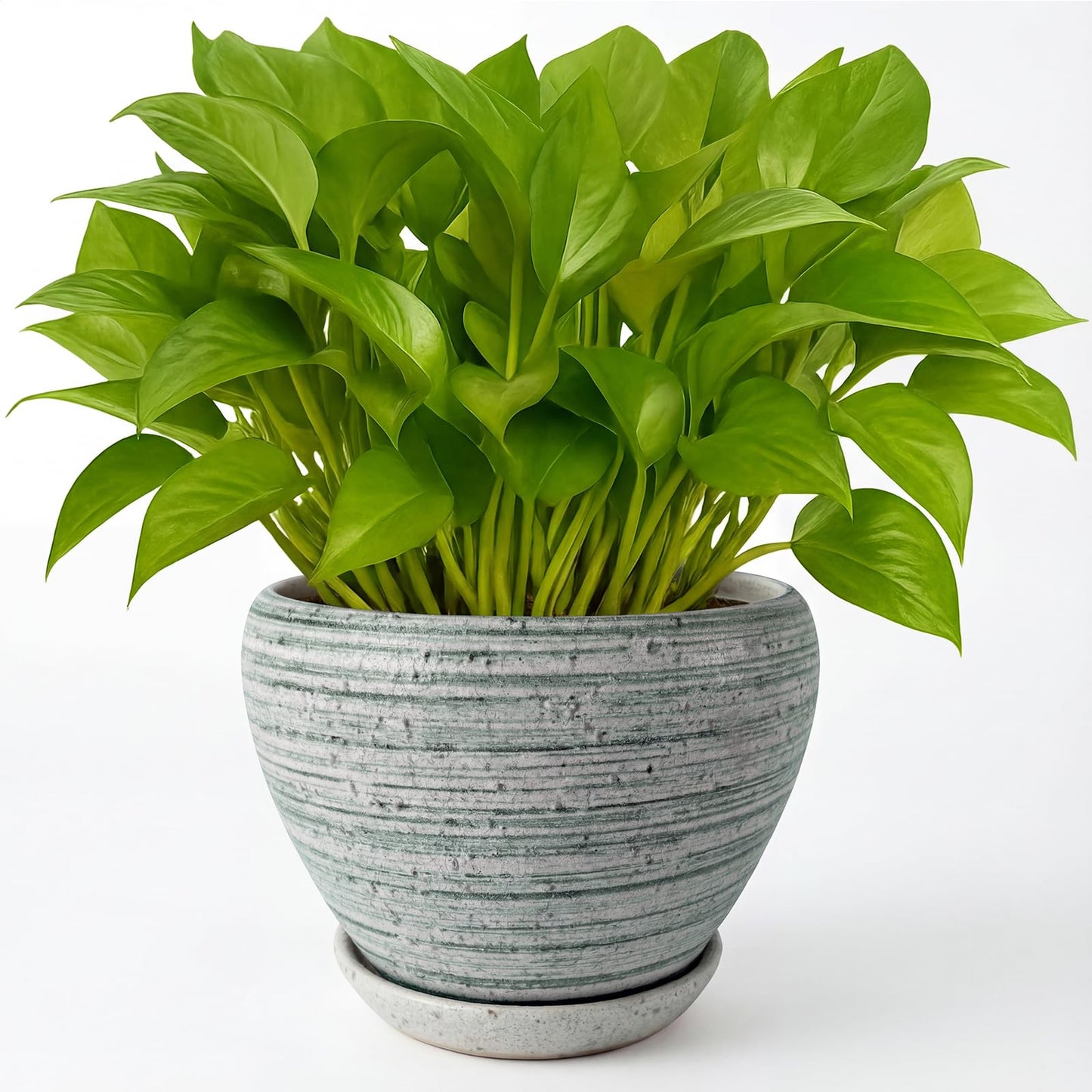 Deep Dream 6 Inch Plant Pots- Ceramic Planter Pot with Drainage Hole and Saucer, Round Flower Pot for Indoor Outdoor Succulent, Snake Plants and Cactus, Brushed Green