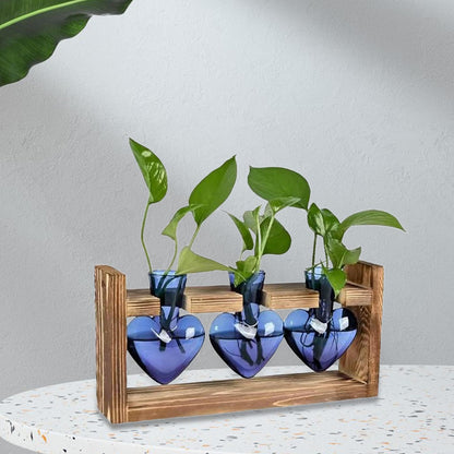 Gcljlmy Hydroponic Flower Vase Glass Vase Table Centerpiece Plant Propagation Modern Propagating Jar Plant Terrarium for Dining Table, Pink Green (Blue)