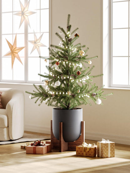 LE TAUCI 12 Inch Planter with Acacia Wood Stand, Ceramic Large Plant Pot for Indoor Plants, Cylinder Pots with Drainage Hole and Plug, Charcoal Gray