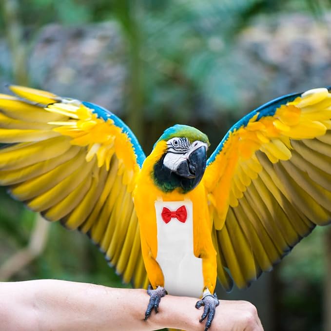 Generic Bird Diaper for Parrots Breathable Costume for Cockatiels Pigeons and Parakeets Washable Reusable Nappy Clothes for Birds