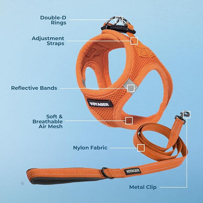 Best Pet Supplies Voyager Step-in Air All Weather Mesh Harness and Reflective Dog 5ft Leash Combo with Neoprene Handle, for Small, Medium and Large Breed Puppies - Orange, X-Large