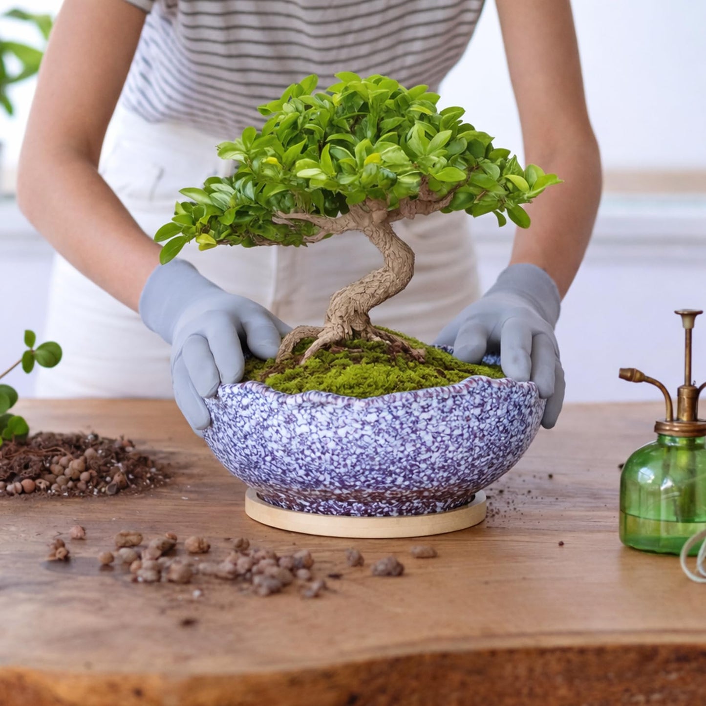 ARTKETTY Bonsai Pots - 9.06'' Ceramic Pots for Indoor Plants, Large Succulent Pots with Drainage Bamboo Tray, Unique Bonsai Tree Planters Round Cactus Flower Plant Container Bowl Home Office Decor
