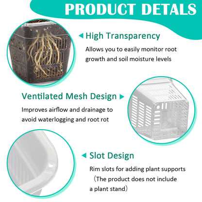 BTPLASTIK Clear Square Nursery Pots, 15 Packs 6 Inch Hydroponics Growing Square Pots, Transparent Plastic Plant Pots for Seed Starting, Root Cutting