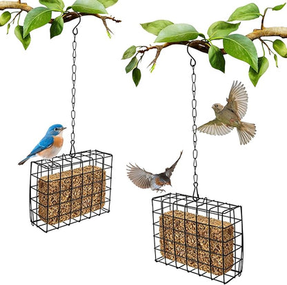 2Pcs Outdoor Suet Cage Bird Feeder, Suets Hanging Bird Feeder fo Attracting Birds, Single Suet Cake Capacity, Fruit Holder Style for Garden Yard Outside Hanging