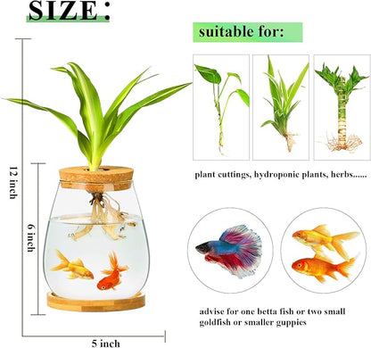 Desktop Plants Terrarium Propagation Station Hydroponic Planters Retro Oval Glass Vase with Lid and Stand Home Office Decoration Gifts 2 Pack