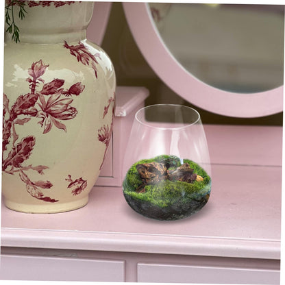 Yardenfun Hydroponic Glass Terrarium for Indoor Decor Moss Plant Container Sustainable Glass Landscape for and Centerpieces
