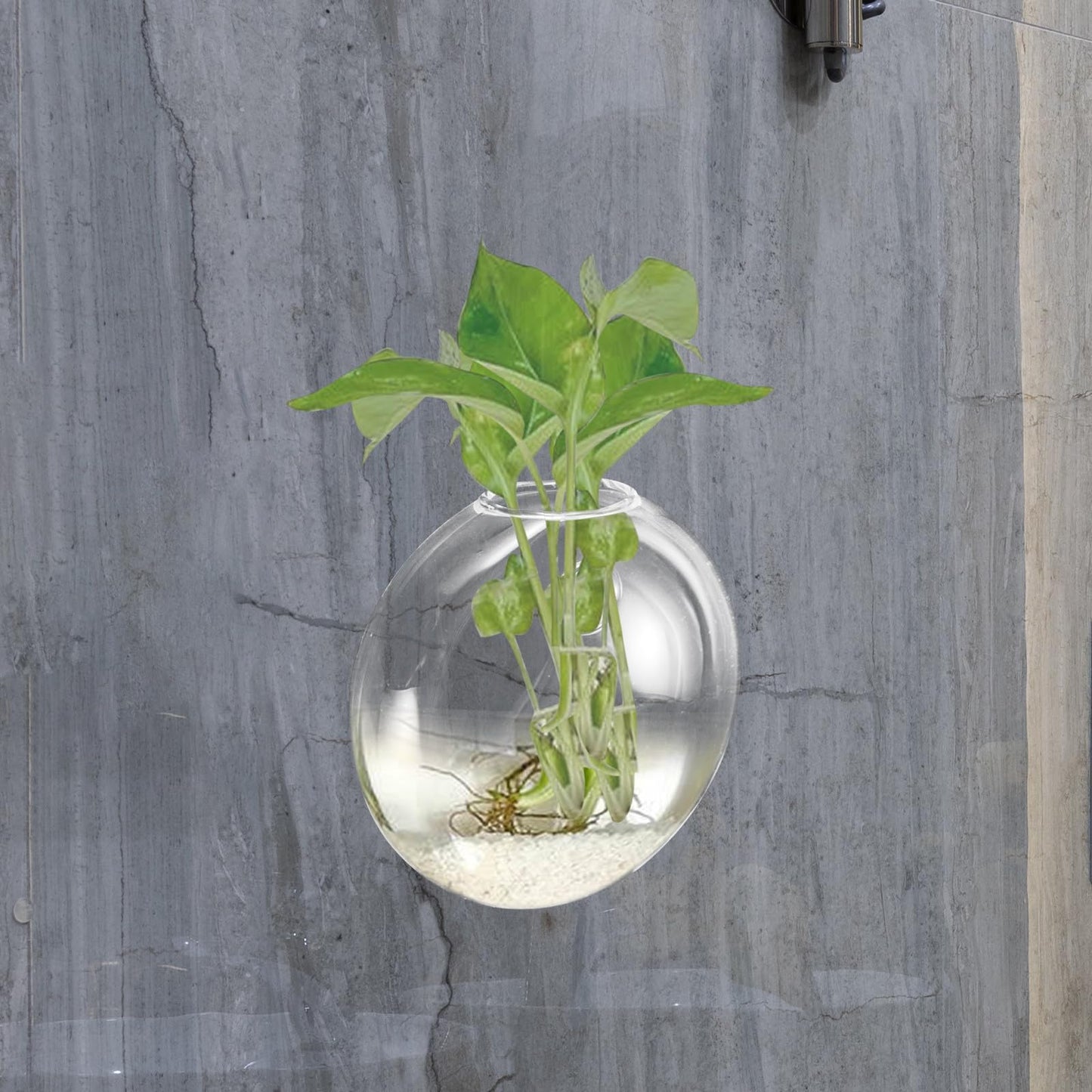 Gatuida Wall Hanging Hydroponic Planter Vase, Glass Wall Terrarium for Indoor Plants, Decorative Flat Glass Vase for Home Décor, 1pcs