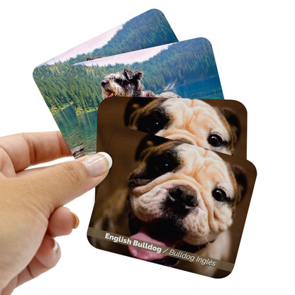 Menique – Dogs Memory Matching Game – Bilingual – 80 Cards (40 Pairs) with Real Photographs – Educational Game for Kids and Adults