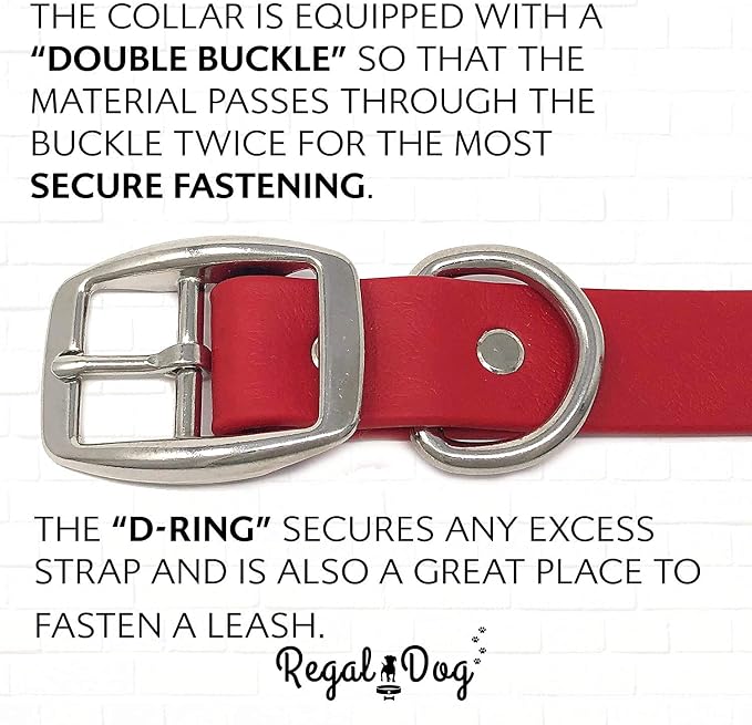Regal Dog Products Large Red Waterproof Dog Collar and Leash Set | Heavy Duty Double Buckle & D Ring - 5'ft Leash | Adjustable Biothane Dog Collar | Chew Resistant Waterproof Collar for Dogs