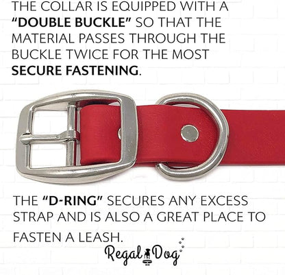 Regal Dog Products Large Red Waterproof Dog Collar and Leash Set | Heavy Duty Double Buckle & D Ring - 5'ft Leash | Adjustable Biothane Dog Collar | Chew Resistant Waterproof Collar for Dogs