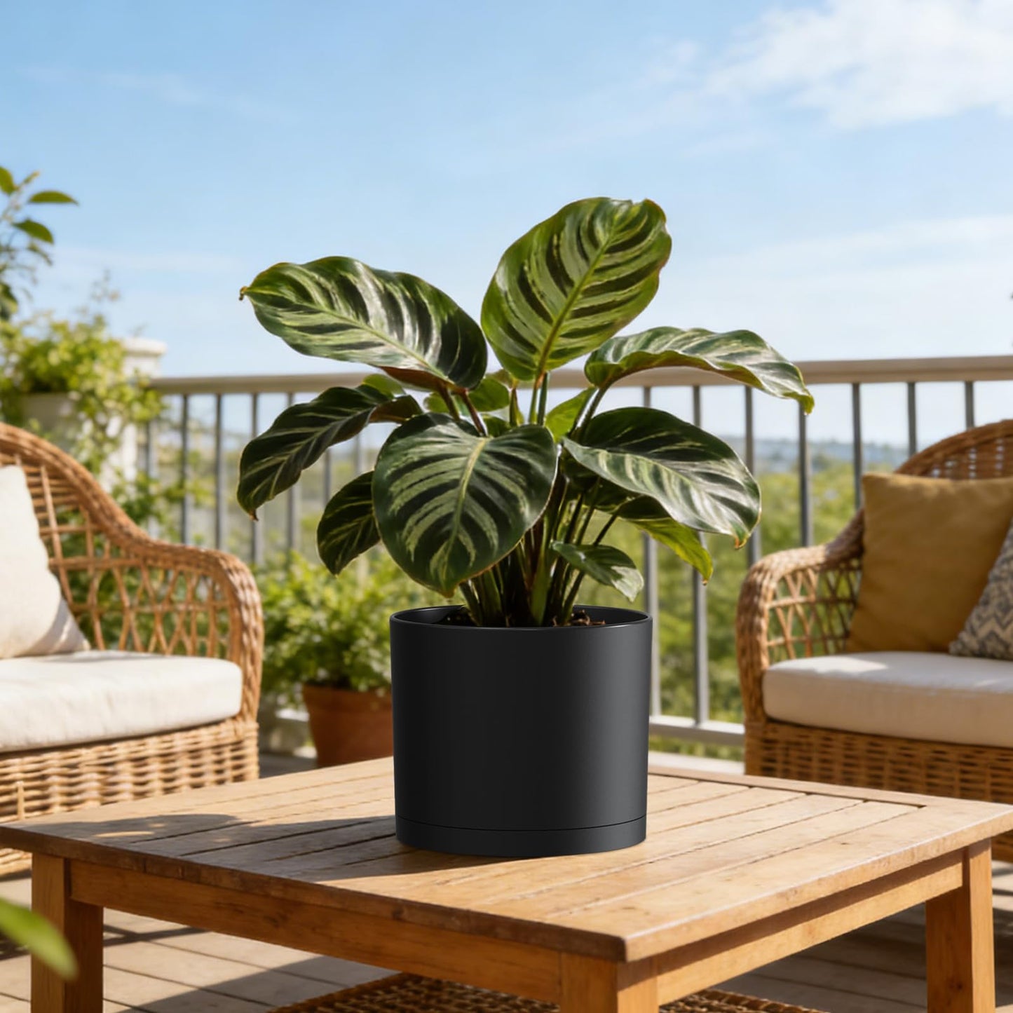 KUGAZ Plant Pots, 10/9/8 Inch 3 Pack Cylindrical Flower Pots with Drainage Holes and Saucers, Plastic Planters for Outdoor Indoor Plants,Black